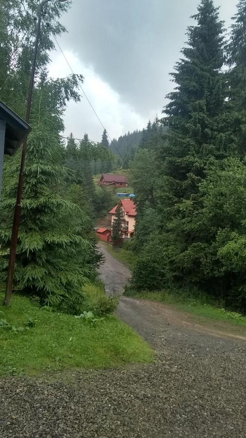 Садиба Срібні Карпати Jablunicja Kültér fotó